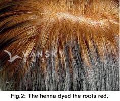 230421154004_Hair-Dying with henna-s.jpg